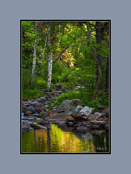View on Pumphouse Creek